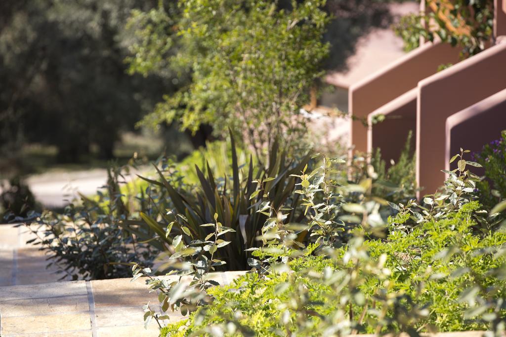 Amandola Villas Agia Anna  Exterior photo